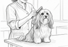 Grooming
