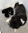 Islay joins the new mum party